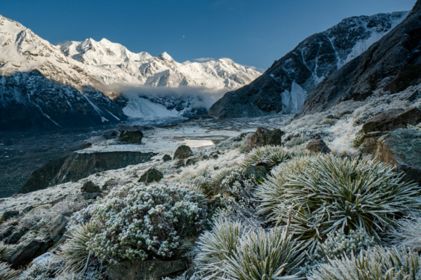 Frosty Mornings